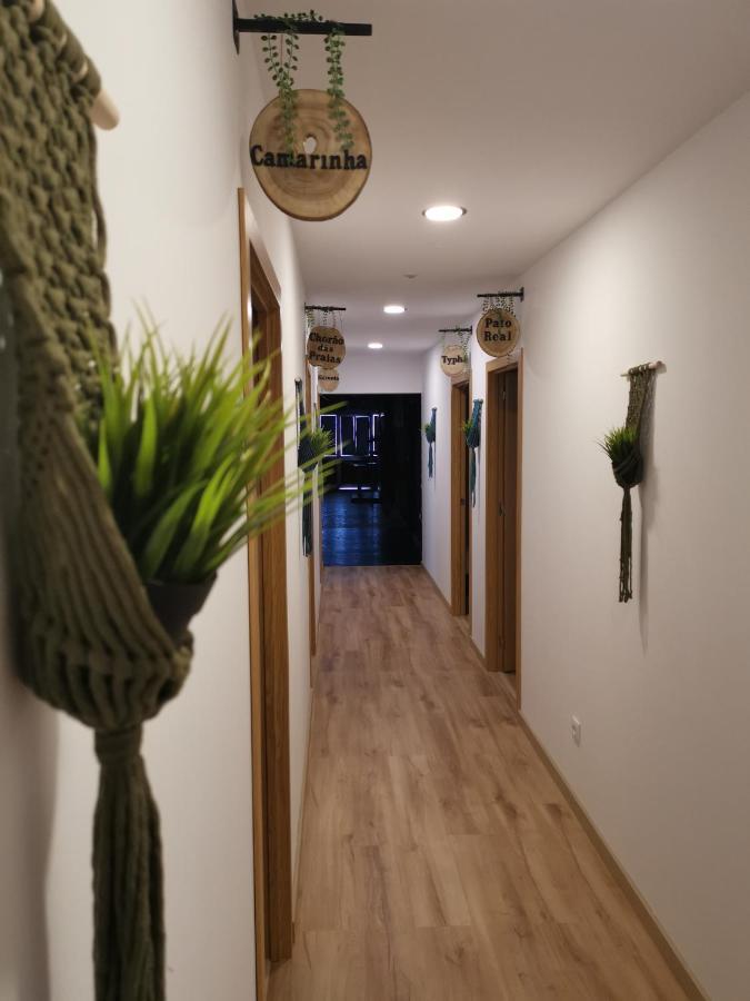 Atlantic Nature Beach House Poco da Cruz Εξωτερικό φωτογραφία